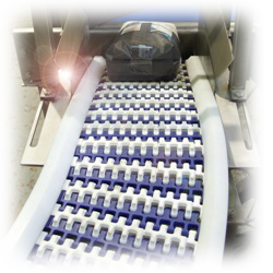 Plastic Belt Conveyor